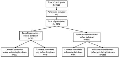 Changes in Cannabis Consumption During the Global COVID-19 Lockdown: The International COVISTRESS Study